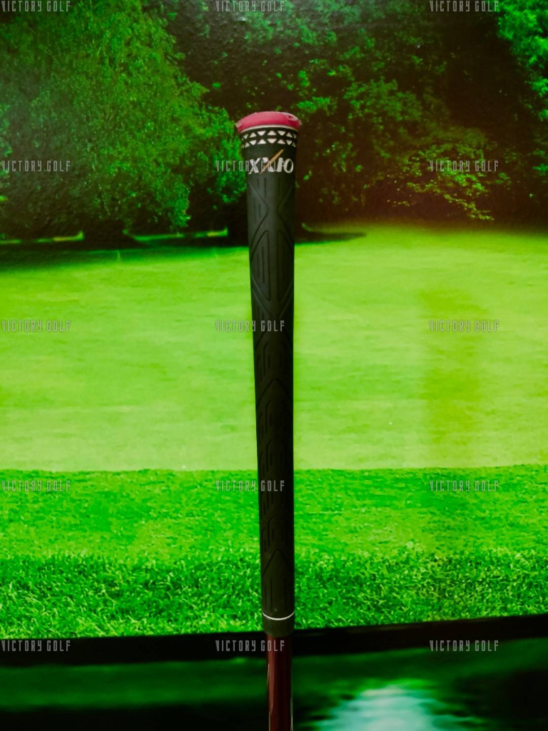 Driver XXIO MP-1000 Loft 11.5 (R)