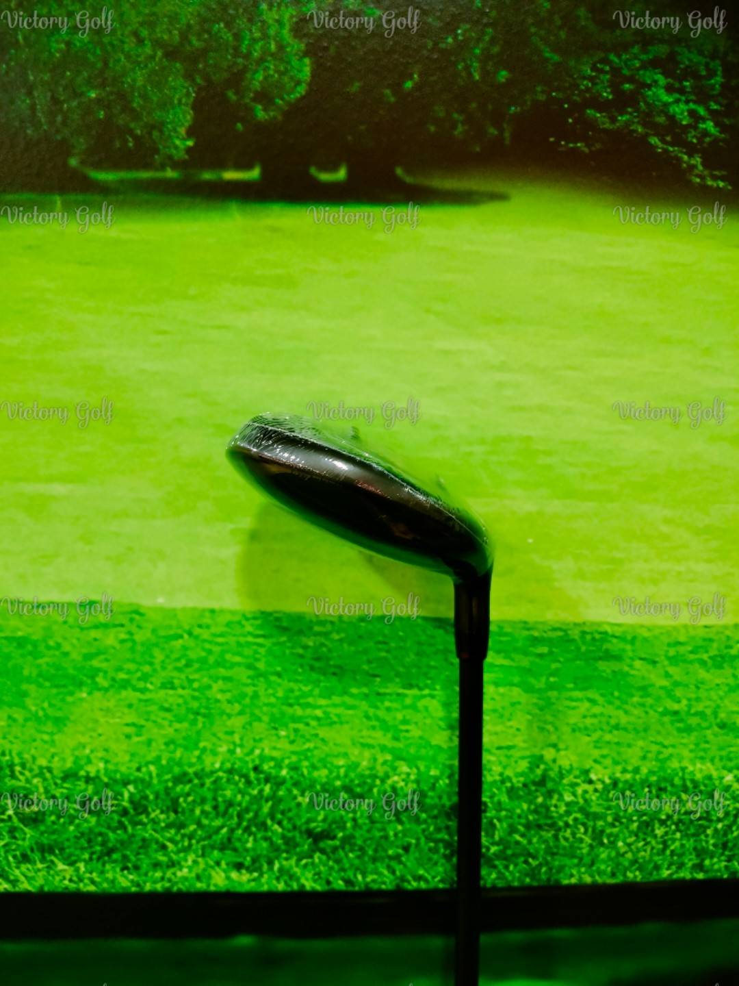 Ut. ON-OFF Model WINGS AKA 2024 U.5/24 (Flex: R)