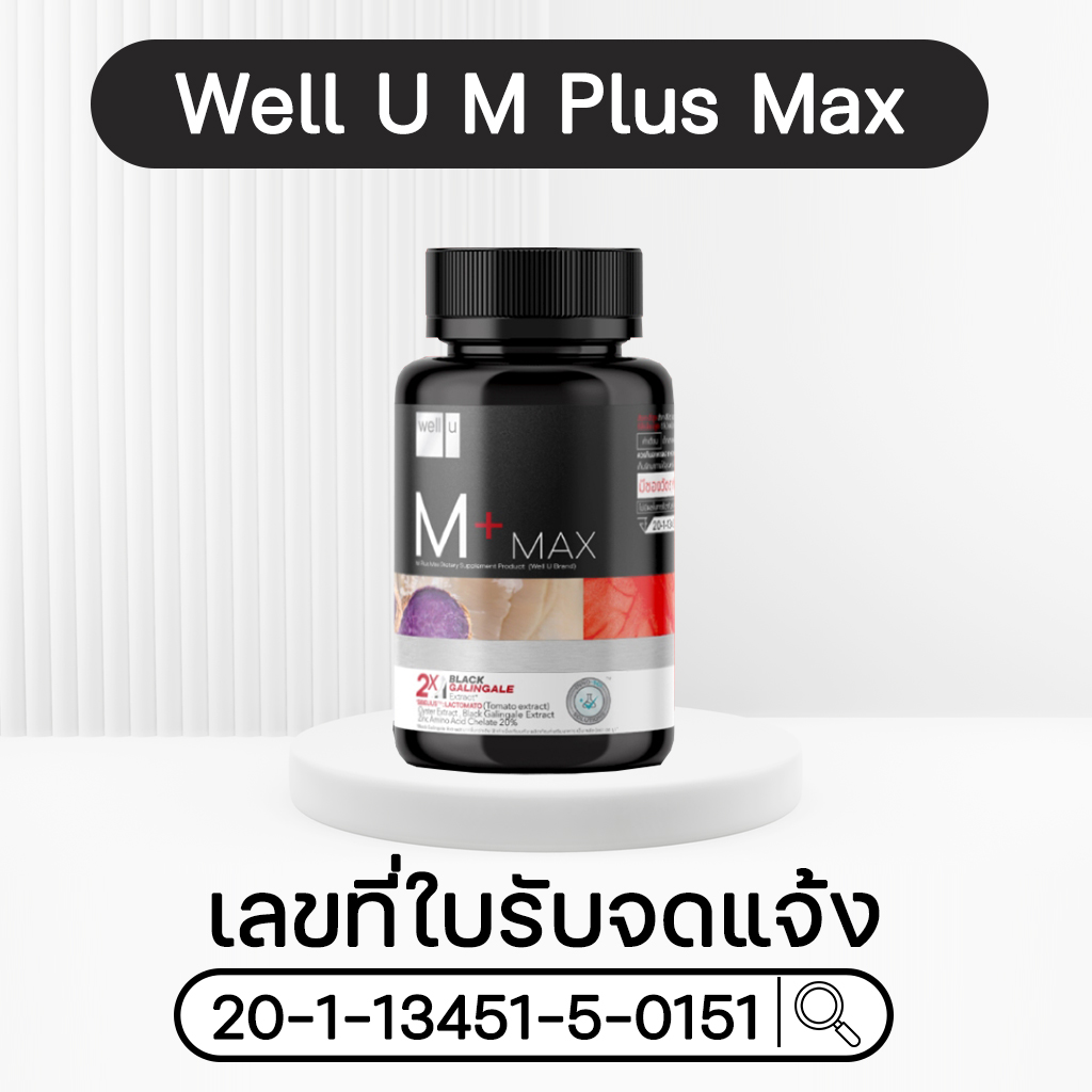 เลขอย. ในเวล ยู เอ็ม พลัส แม็ก