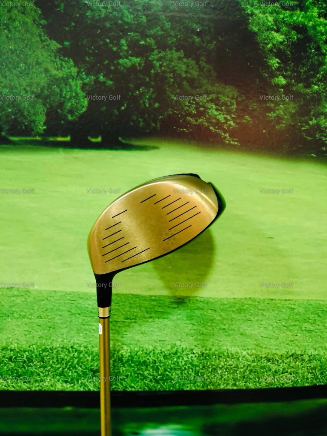 Driver Superman EGooVI 10HR 10.0 (Protec Big Blue V6) / (R)