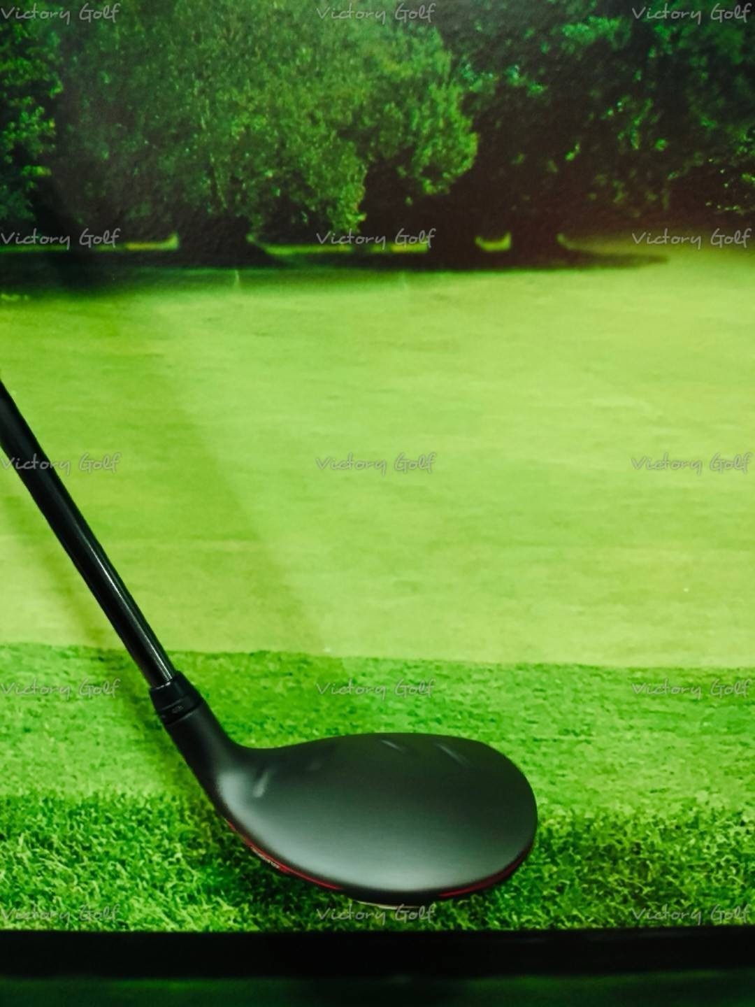 Ut. Ping G410 ( 3/19 ) Alta J CB ( Flex: S )