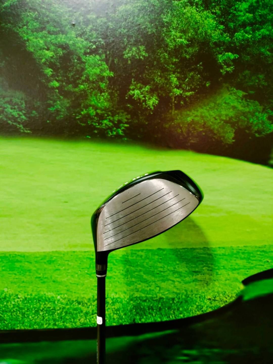 Driver Crazy CRZ460 loft 9.5 (Shaft Royal Decoration) / (flex: R)