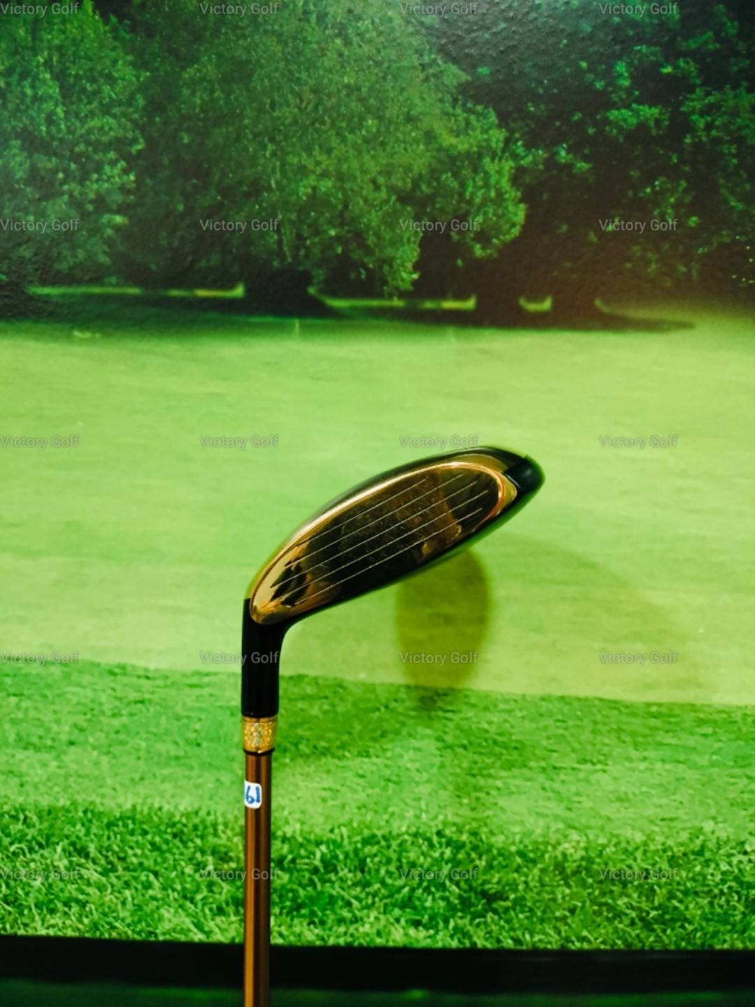 Fairway Spiderman SPM02 3/15 (Protec Wing Blue) / (R-1)