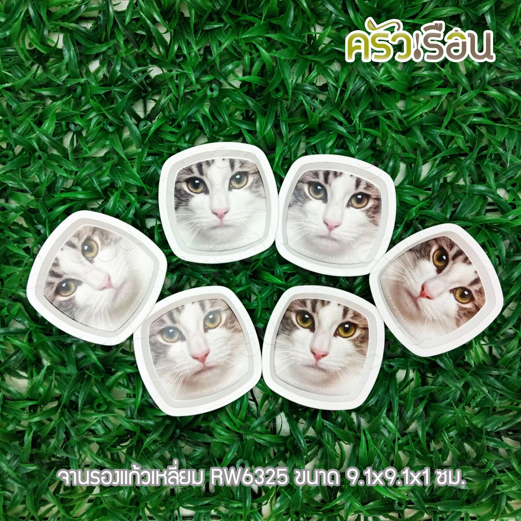 Reangwa Standard จานรองแก้ว ลายหน้าแมว แพค 6 ใบ RW6325P6