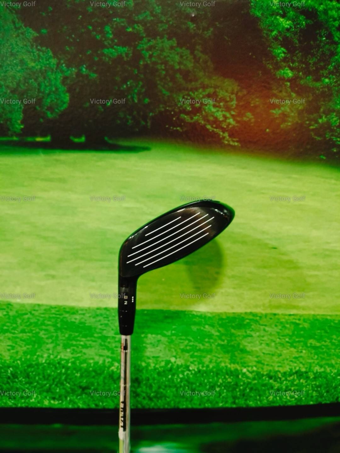 Fairway Titleist VG3 5/19 (VGF) / (R)