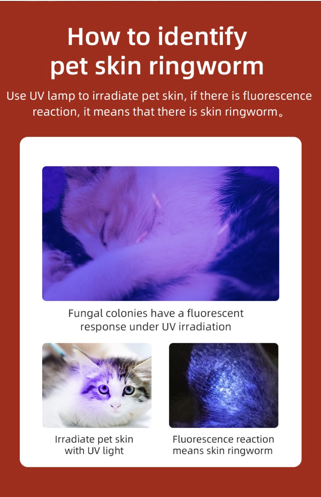 SupFire ไฟฉาย แสง UV S11-H