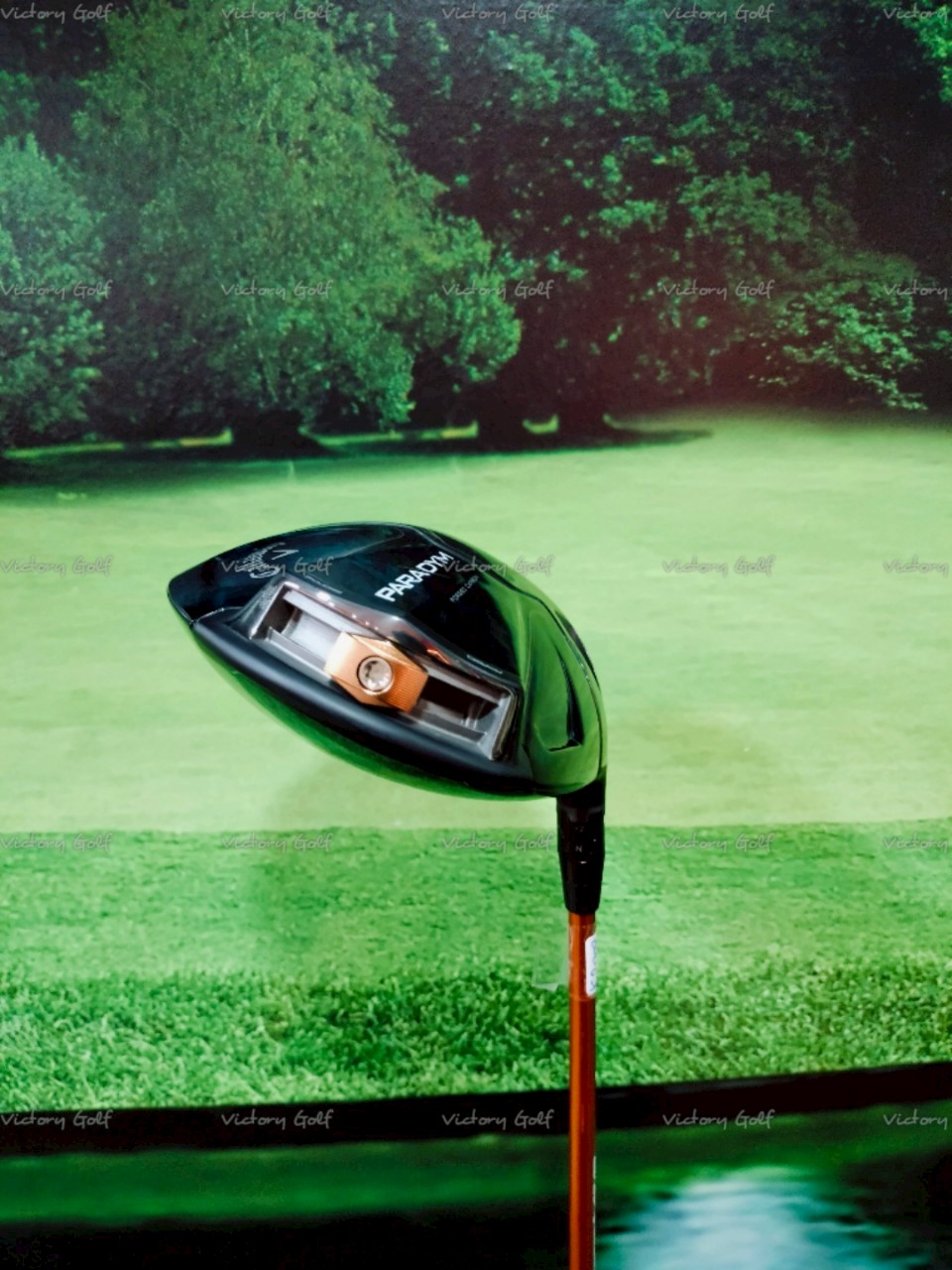 Driver Callaway Paradym Forged Carbon Loft 10.5 (ALDILA NVS) / (R)