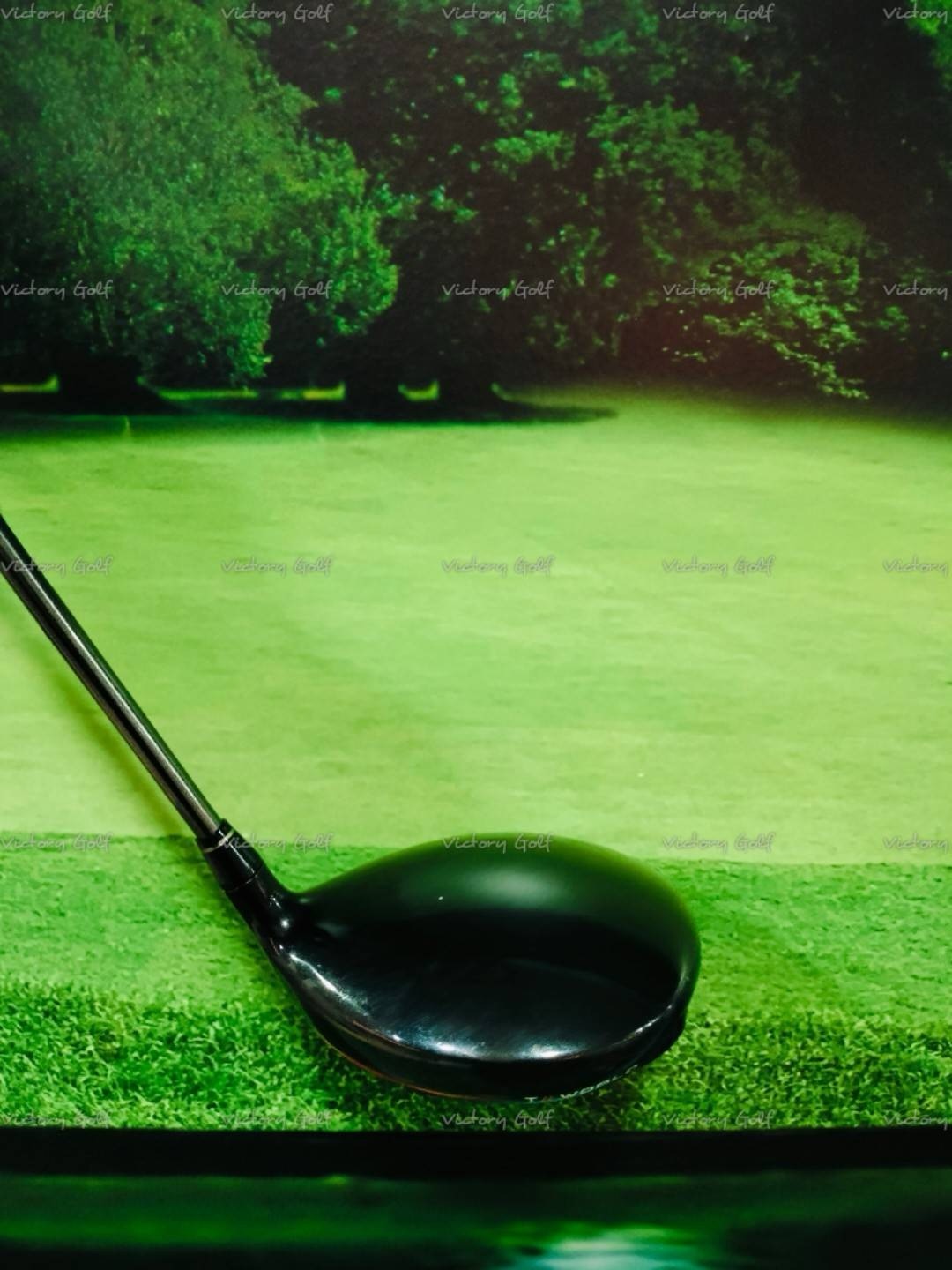 Driver Honma 10.5 TW747 455 T//World (VIZARD) / (R)