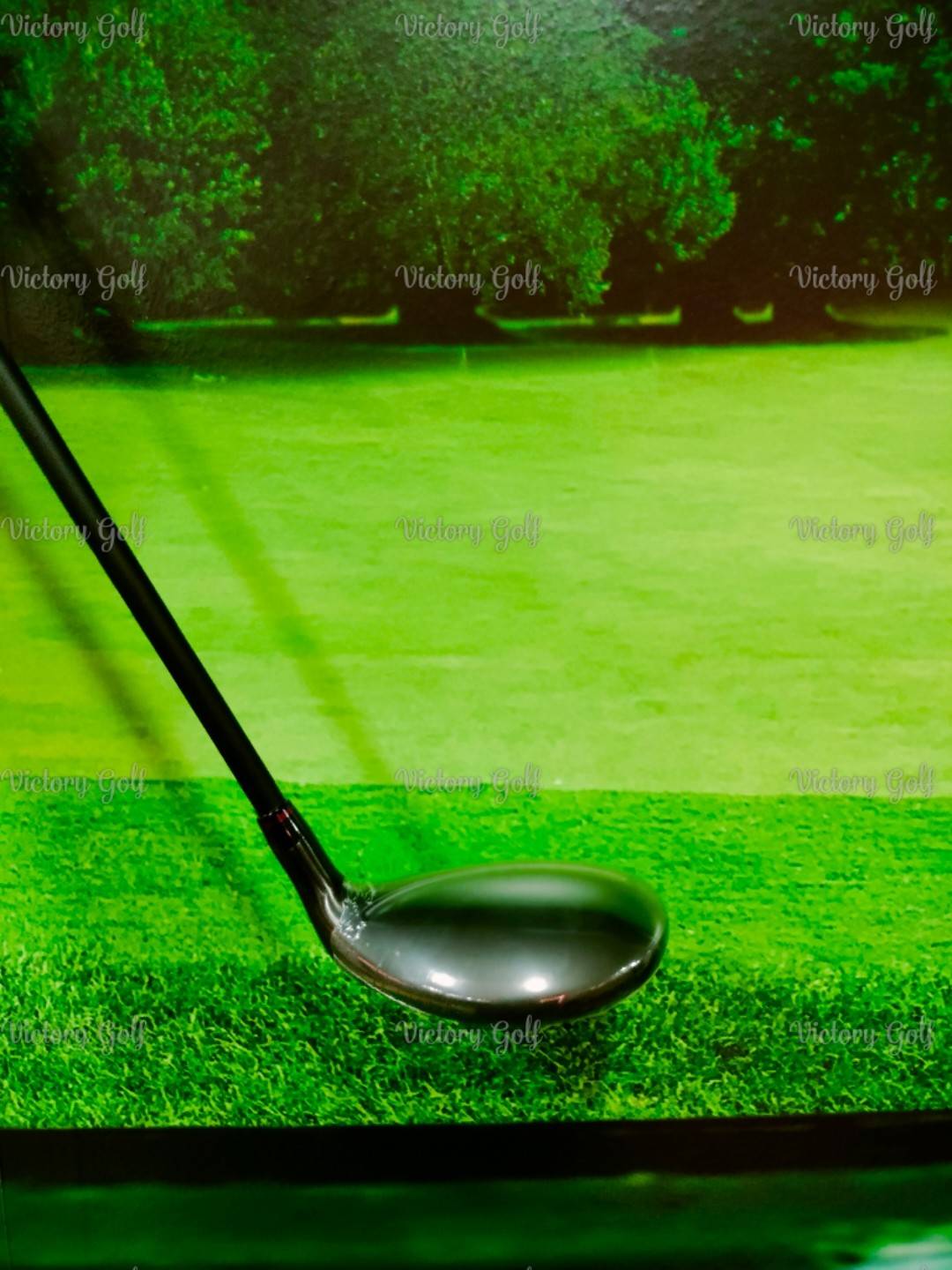 Ut. ON-OFF Model WINGS AKA 2024 U.3/18 (Flex: R)