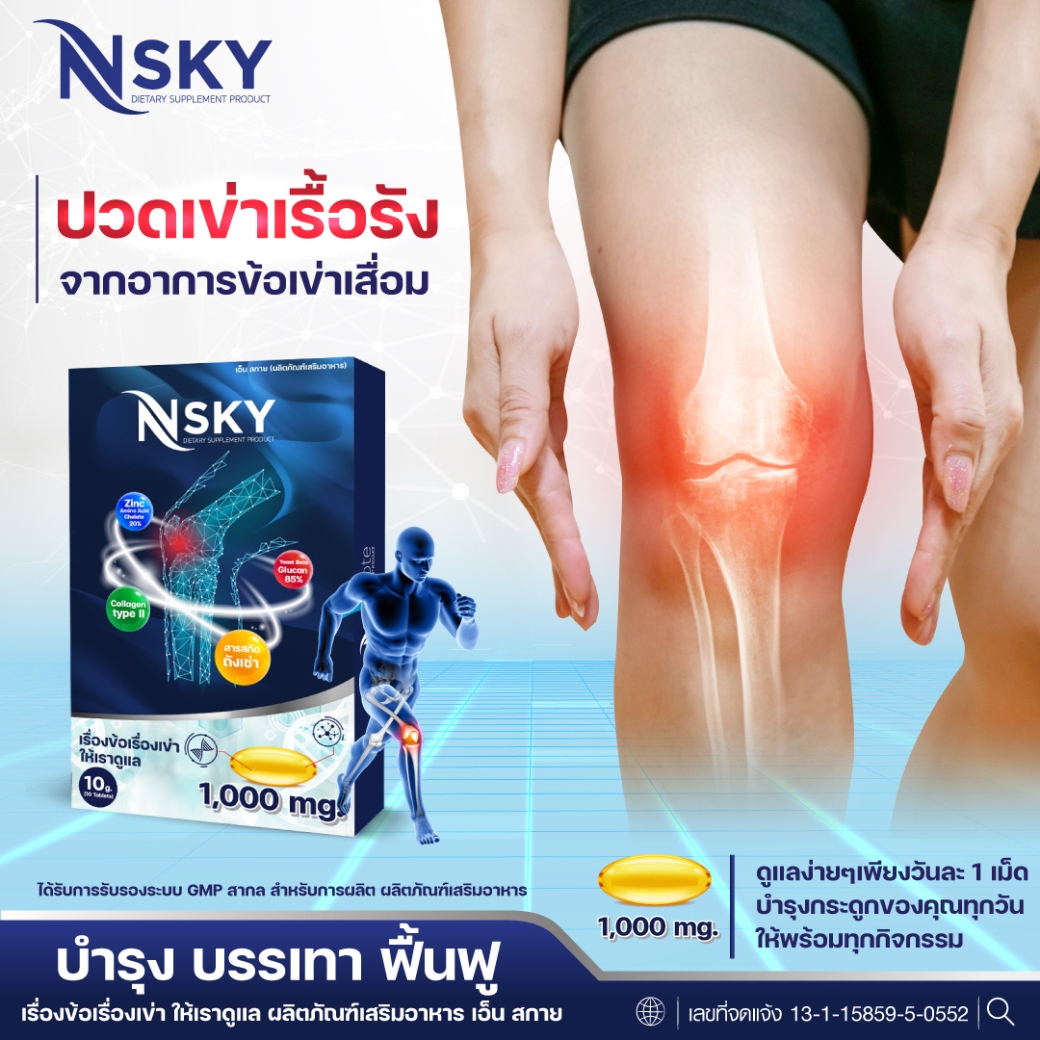 nsky เอ็นสกาย