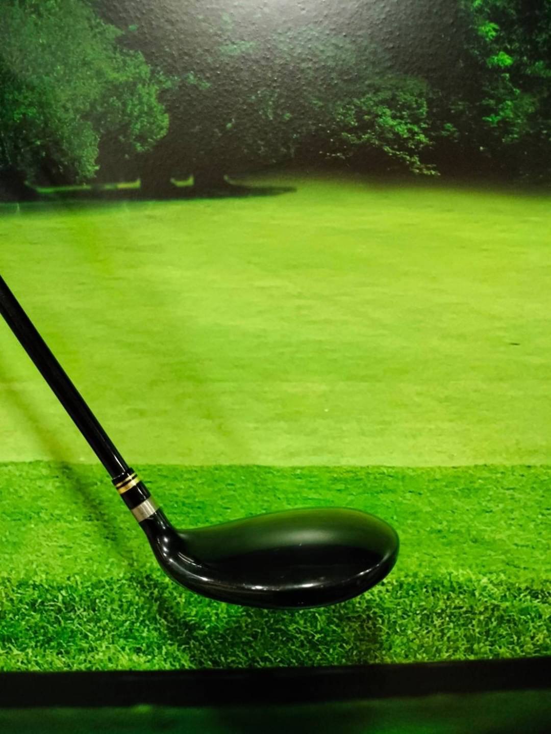 Fairway Ryoma D-1 F5 5/18 (TOUR AD) / (SR)