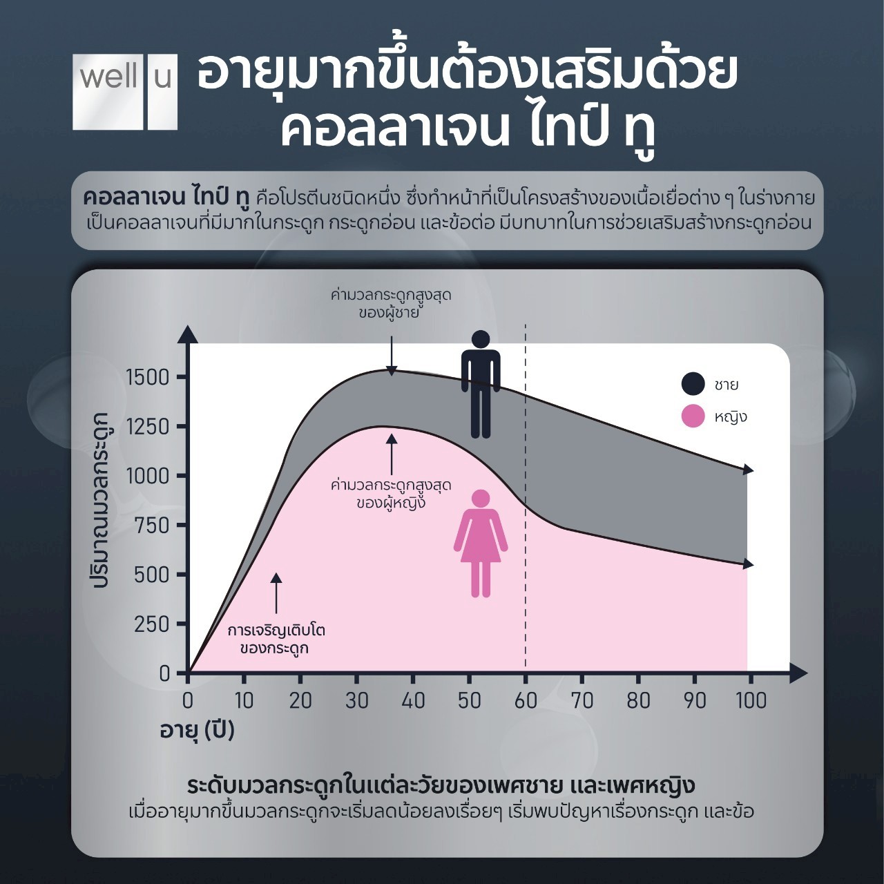 Well Advanced Collagen Type ll Plus 6 IN 1