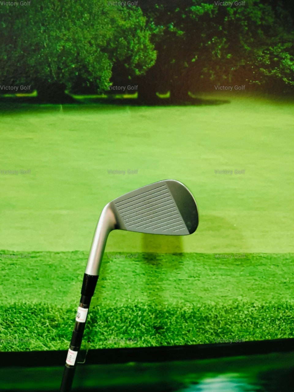 เหล็กปลีก #7 Crazy SBi-02 (STP Iron 50)