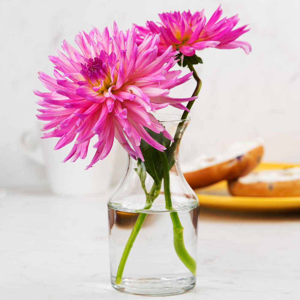 เช่าแก้ว USA Libbey ขวดใส่เครื่องดื่ม / Decanter 8.5 oz. (719)