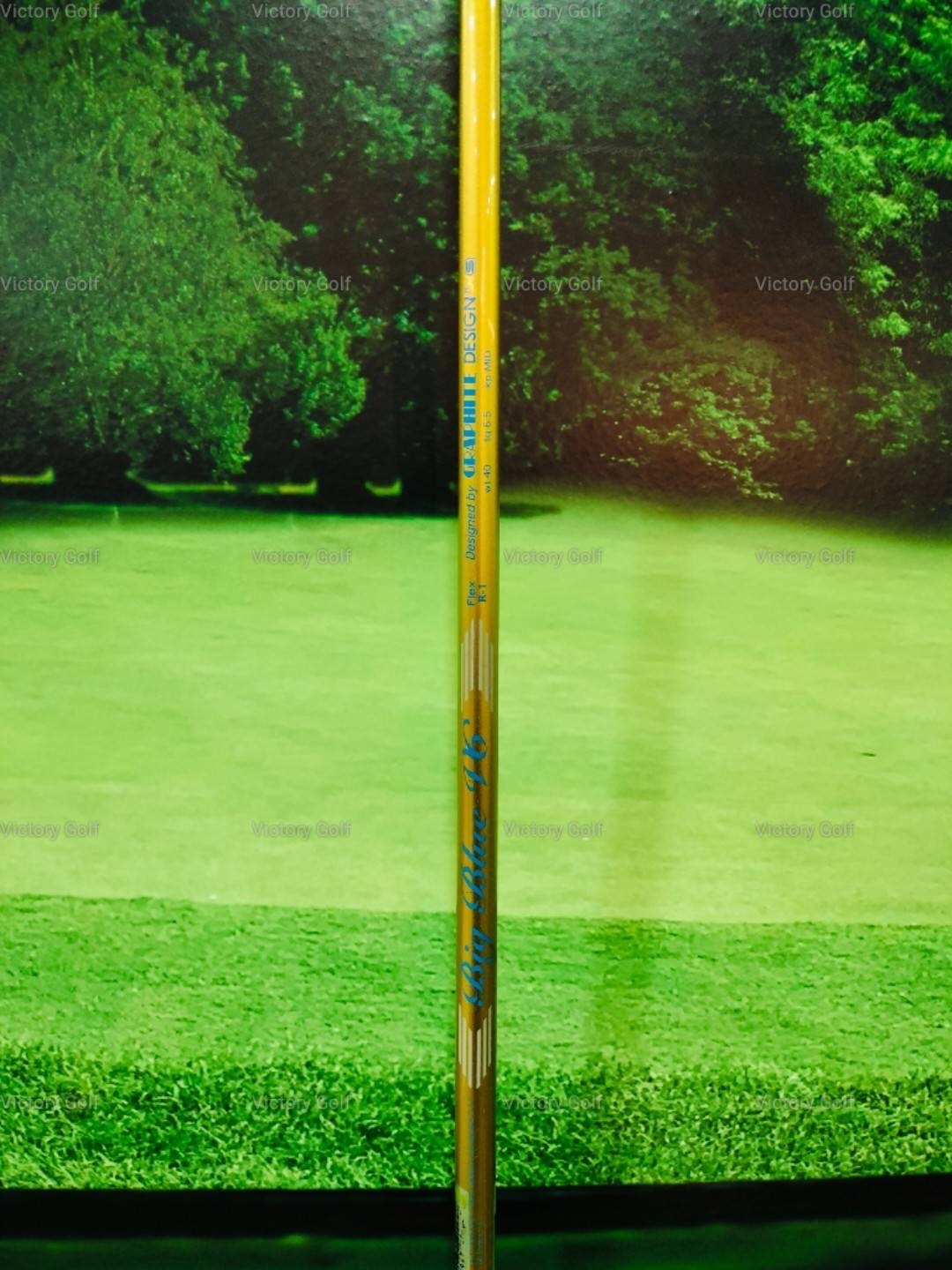 Driver Superman EGooVI 10HR 10.0 (Protec Big Blue V6) / (R)