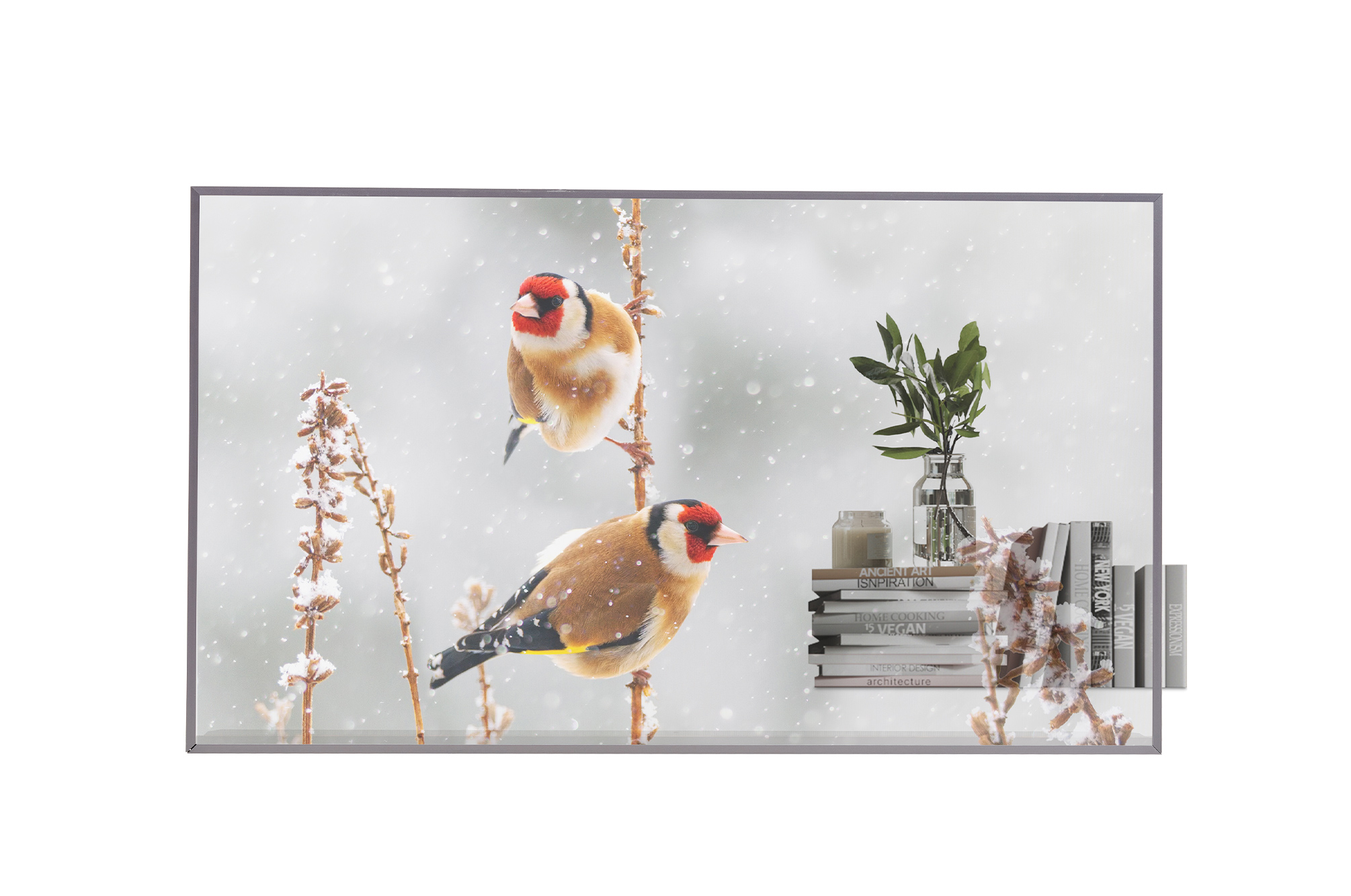 LG 55EW5P-M - Transparent OLED Signage 55 นิ้ว (FHD, 43% Transparent, 18/7, webOS 7.5, Wi-Fi)