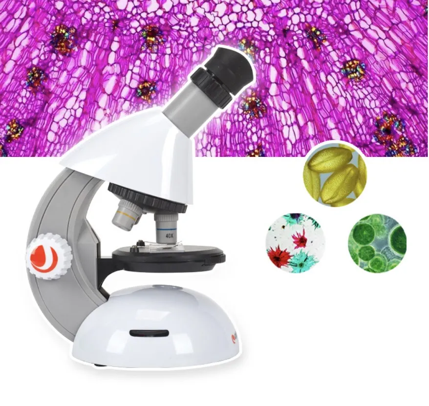 Celestron กล้องจุลทัศน์ S82102 40X - 640X