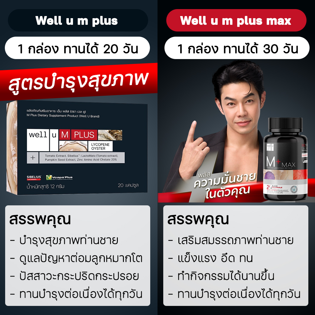  เวล ยู เอ็ม พลัส แม็ก