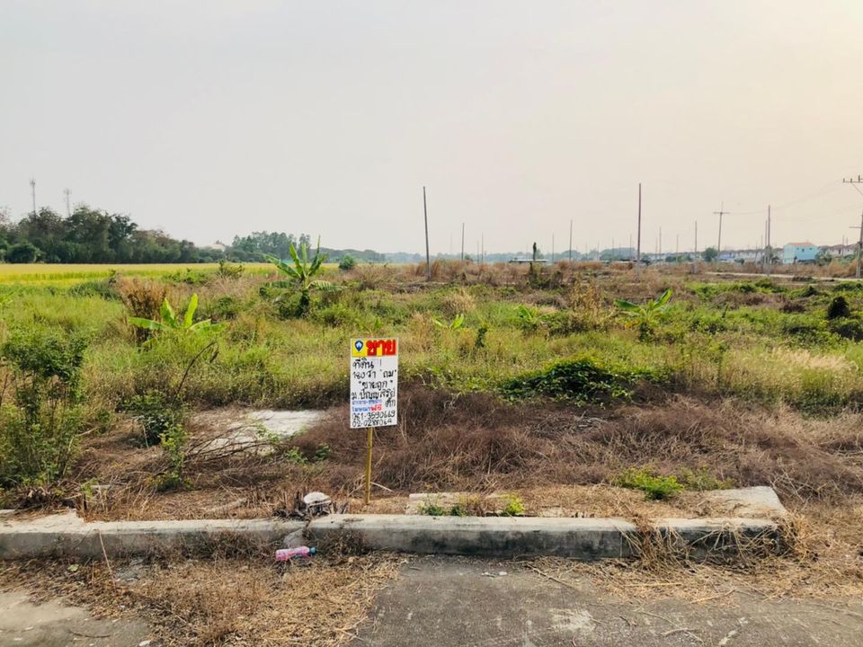 ขายที่ดินจัดสรรหมู่บ้านปัญญสิริ (รหัสทรัพย์ 202126) ต.ระแหง อ.ลาดหลุมแก้ว จ.ปทุมธานี ขนาด 180 ตรว.
