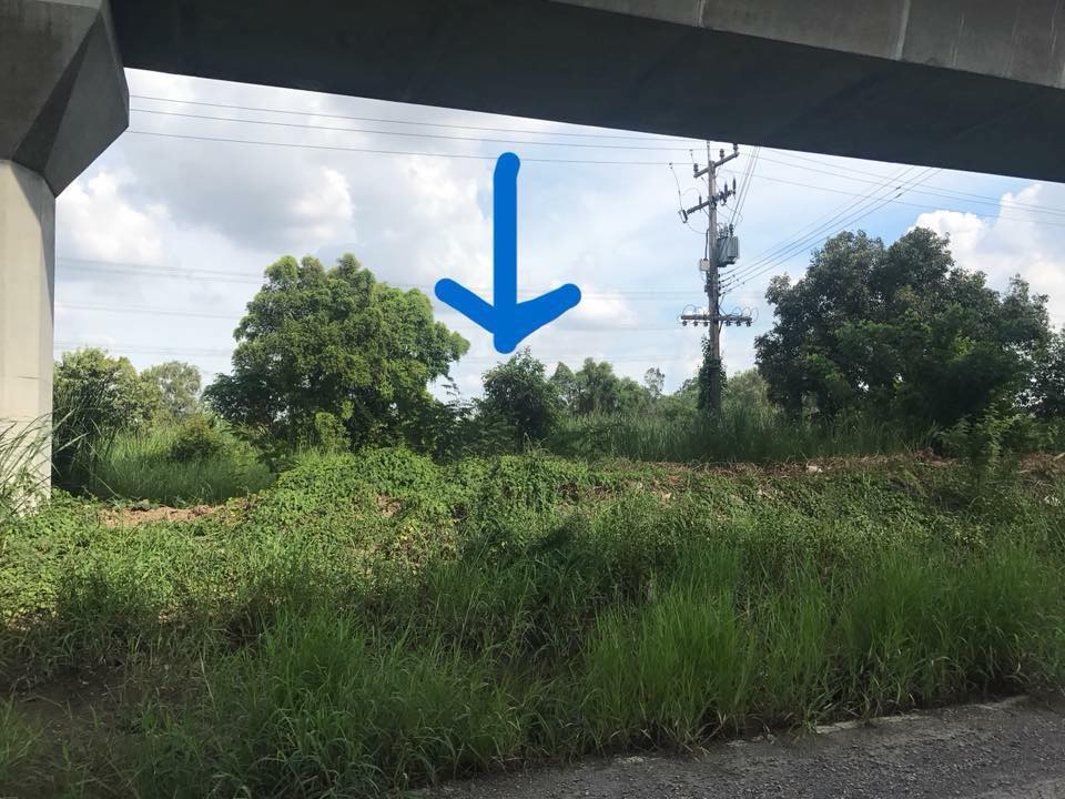 ขายที่ดิน ซ.ร่วมสุข 8/13 (ซ.บ้านพักคนชรา) ต.บ้านใหม่ อ.เมือง ปทุมธานี 1ไร่ 3 งาน 96 ตรว. รหัส L12