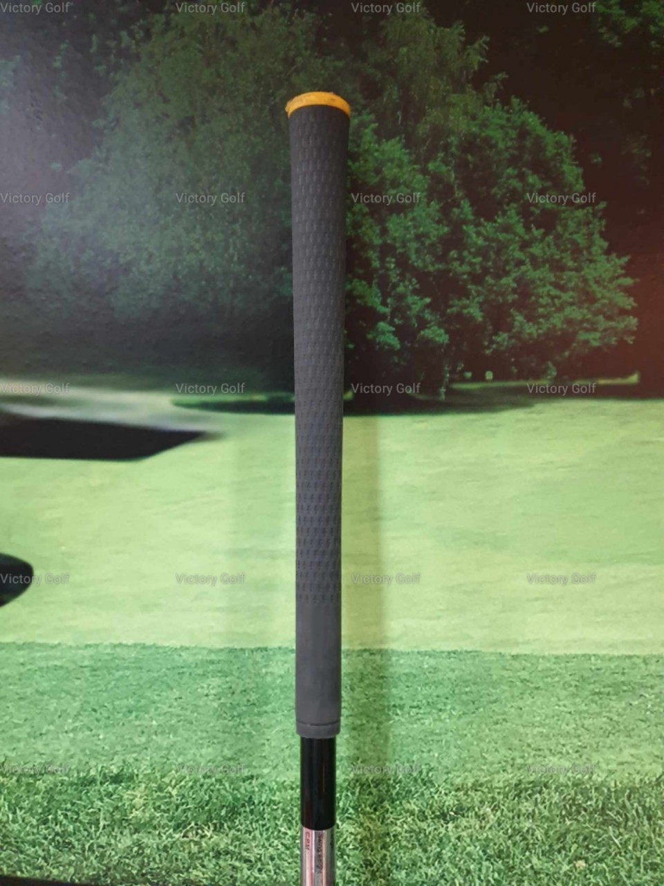 Driver Royal Collection Extra Vintage Premium 10.5 (Bassara) / (R)