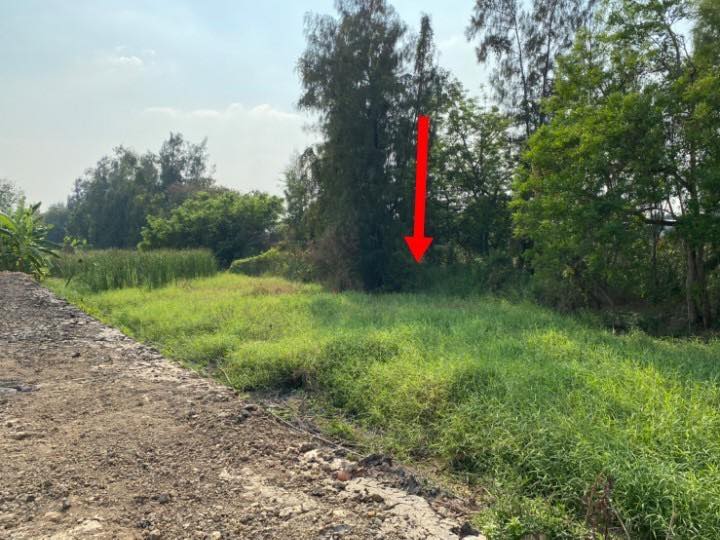 ขายที่ดินซอยบ้านกล้วย-ไทรน้อย (รหัสทรัพย์202122) ต.บางบัวทอง อ.บางบัวทอง จ.นนทบุรี ขนาด 61 ตรว.