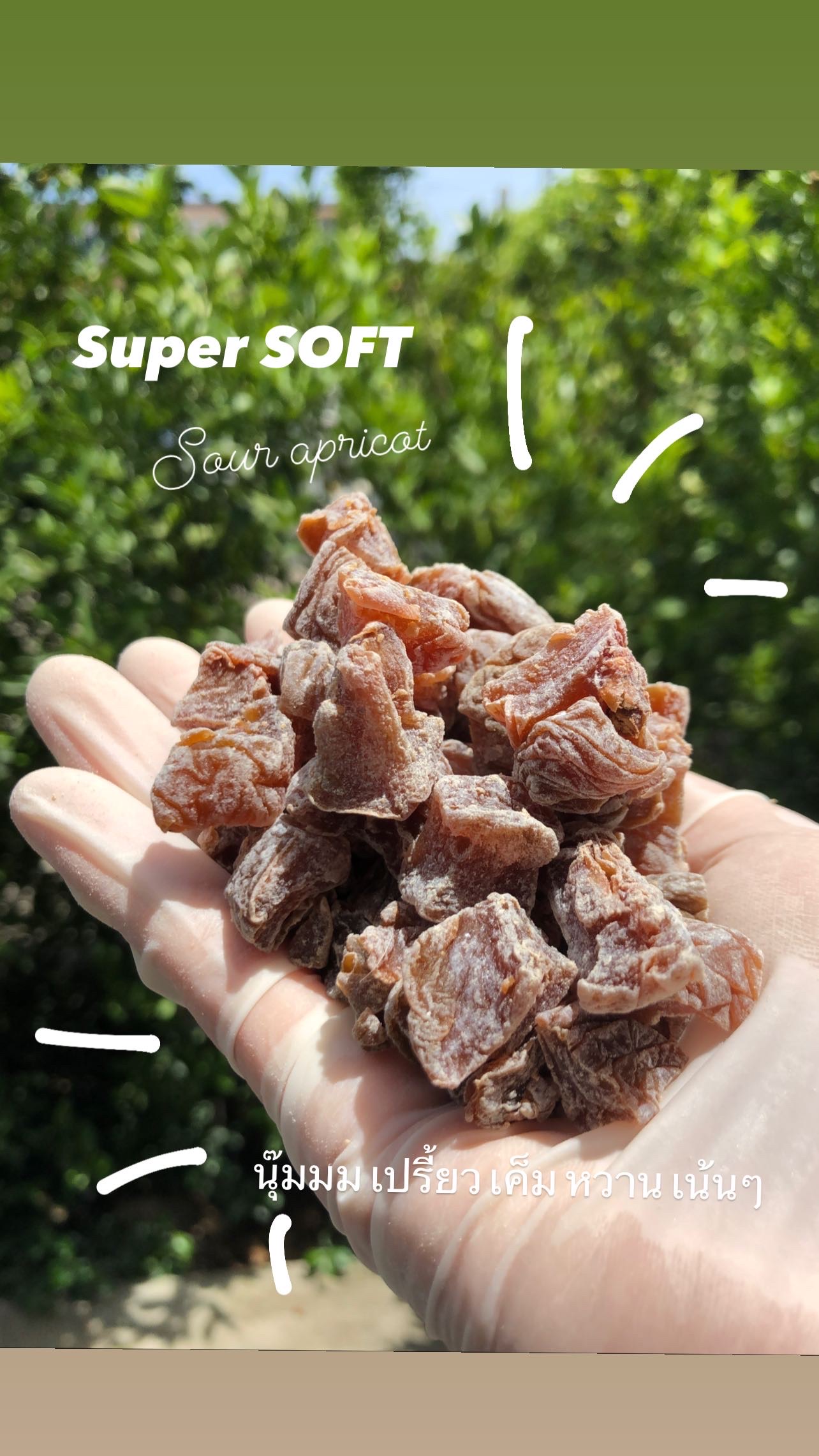 Sour Apricots 200g. | บ๊วยเต๋า 3 รส อบนุ่ม 200กรัม