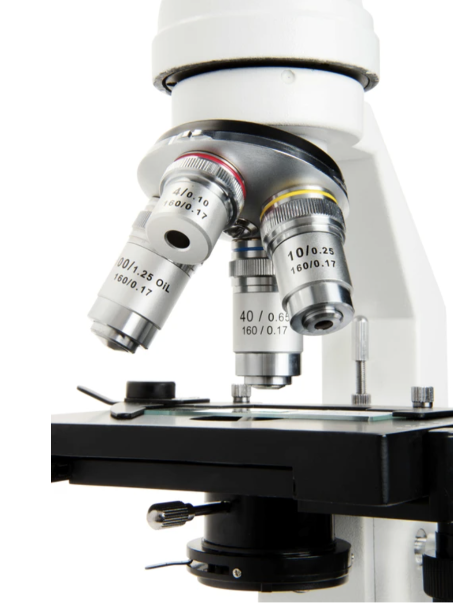 Celestron Compound Microscope Labs CM2000CF