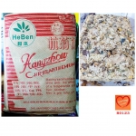 ดอกเก๊กฮวย ตราเสือ