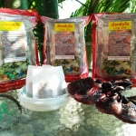 เห็ดหลินจือแดงพร้อมชง 25 ซอง