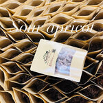 WHOLESALE Bulk Sour Apricots | ขายส่งบ๊วยเต๋า 3 รส