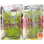 Race Horse ชาตราม้าแข่ง