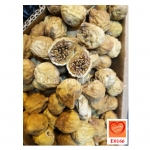 ลูกฟิกเล็ก จากตุรกี