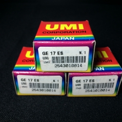 GE 17 ES