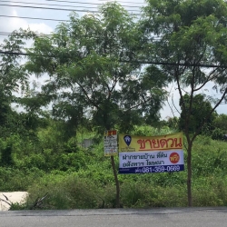 ขายที่ดินติดถนน (ถนนกว้าง 6 เมตร)จำนวน 29.5 ไร่ คลอง 9 (ถ.เลียบคลองประตูระบายน้ำคลอง 9) ปทุมธานี รหัส L3