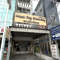 ขายอาคารพาณิชย์ 5 ชั้น ติดถนนราชพฤกษ์-คริสตัลพาร์ค (รหัสทรัพย์ 202541) ต.บางขนุน อ.บางกรวย จ.นนทบุรี