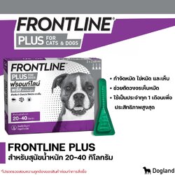 Frontline Plus สุนัขนน. 20-40 กก. (สีม่วง)