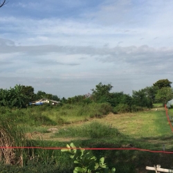 ขายที่ดินใกล้หาดเจ้าสำราญ (แปลง2) ต.หนองขนาน อ.เมือง เพชรบุรี ขนาด 3ไร่ 2งาน 12 ตรว. รหัส L14