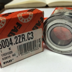 FAG-6004 2Z
