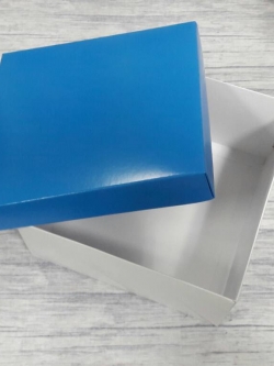 กล่องแบบมีฝาครอบ กล่องอเนกประสงค์ ขนาด 16.5 * 16.5 * 9 ซม. ตัวกล่องสีขาว ฝาครอบสีฟ้า ราคา 435 บาท ต่อแพ็ค (20 ใบ)