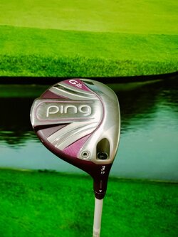 Fw.Ping Gle 2 w.3 flex : L (loft 19)