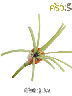 Seagull มีดซอยผักบุ้ง