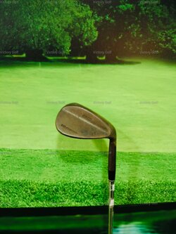 Wedge Royal Collection DB Forged Loft 58 (N.S.Pro)