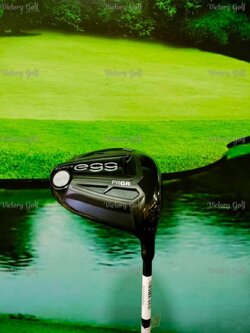 Driver PRGR Super Egg 480 High Repulsion (Non-conforming) Loft 11.5 (M-30) ladies