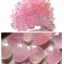 ลูกกลิ้งนวดหน้าหินโรสควอซ์ส ( Rose Quartz Facial Massages Roller)