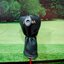 Fw. Honma Beres 3-Star 3/15 ( ARMRQ 3-Star )/ (R)