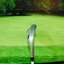 Wedge PXG Sugar Daddy 0311 50’/10 (Dynamic gold) / (S200)