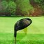 Driver Titleist 915D2 9.5 (Diamana) / (R)
