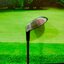 Fairway Honma Amazing spec 7/21° ★★★ ( ARMRQ6 ) / (S)