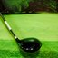 Driver Progress BB6 Endless Ambition 9.5 ( Basileus )/ ( SR )